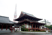 東京・増上寺